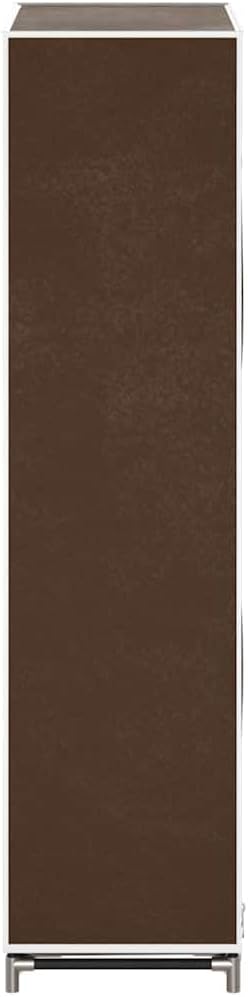 vidaXL Schuhschrank Schuhregal Schuhablage 5 Schicht 58 x 28 x 106 cm Braun Braun 58 x 28 x 106 cm,