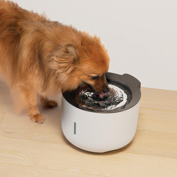 Zeus Oasis Trinkbrunnen für Hunde, 3 Liter Wasserspender mit 3-fach Filterung, fliessendes &amp; gefilte