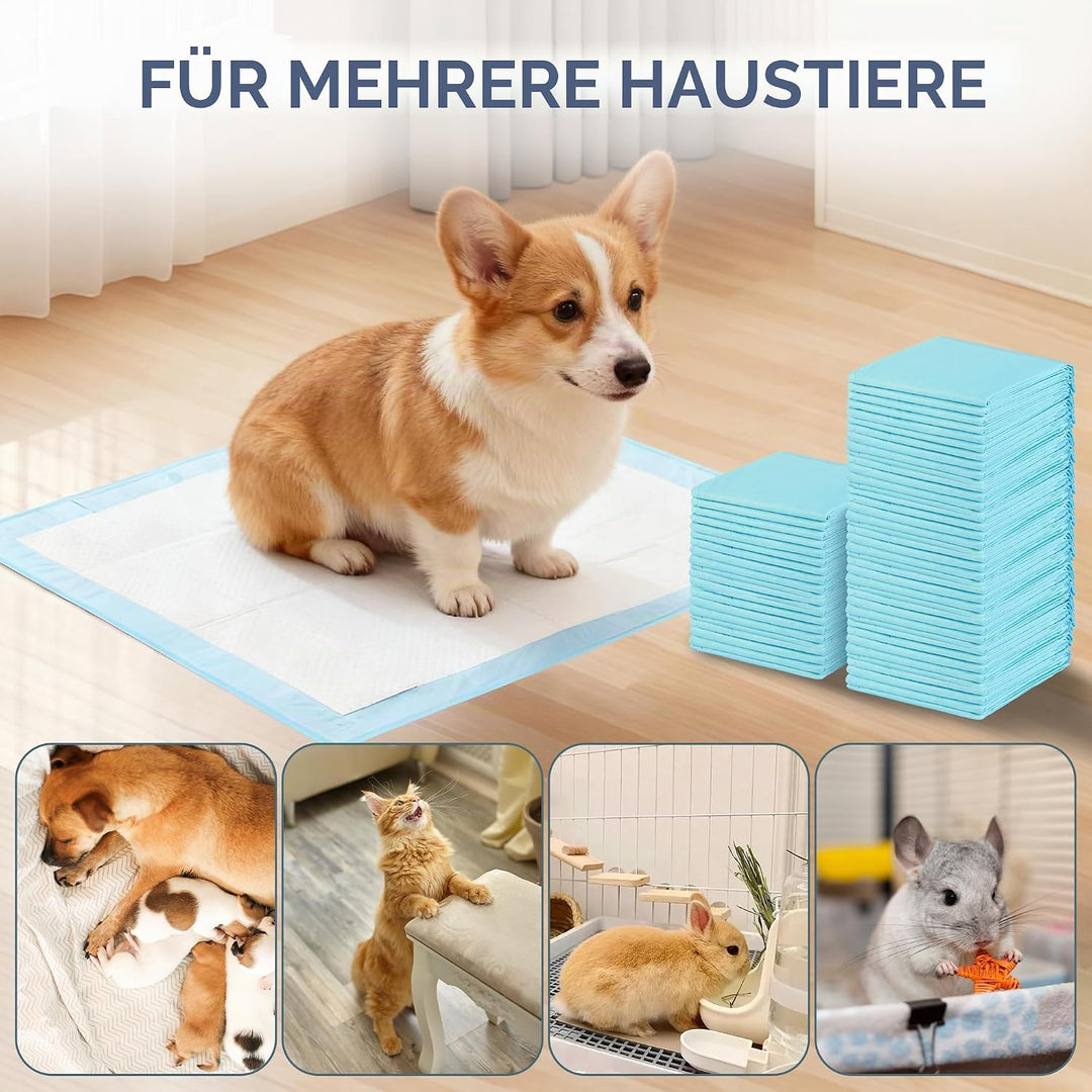 PIPI Matten für Hunde, 100 Stück Trainingspads, Wickelunterlagen Einweg 33X45cm, Einmalunterlagen, A