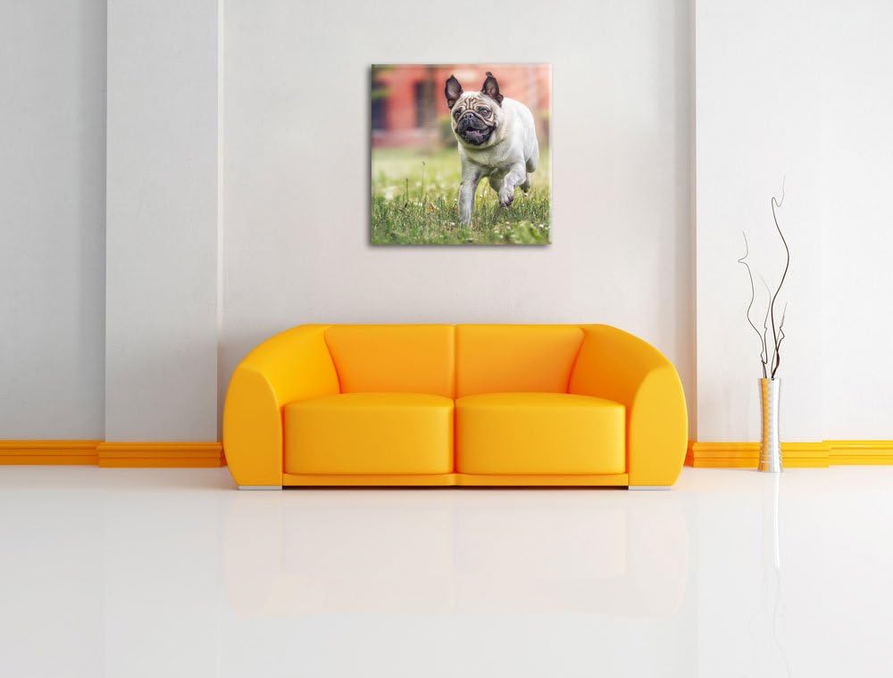 Pixxprint Rennender Mops, Format: 70x70 auf Leinwand, XXL riesige Bilder fertig gerahmt mit Keilrahm