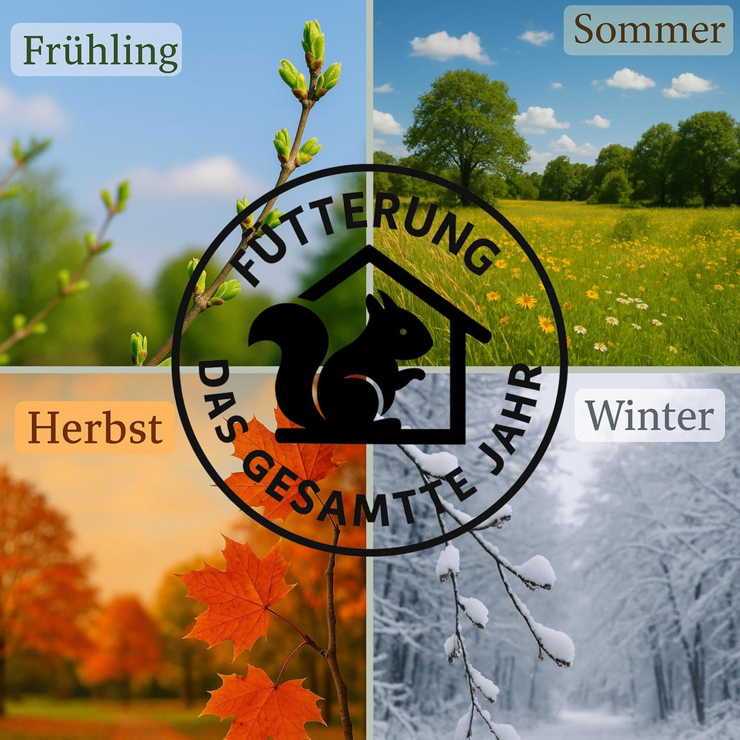 Futterstation für Eichhörnchen – Grau, Wetterfest &amp; Robust mit Kunststoffscheibe, Belüftetem Vorrats