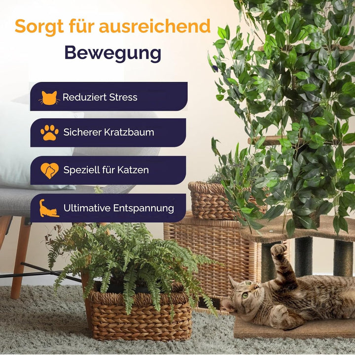 Katzenkratzbaum 160cm – Stabiler Kratzbaum mit austauschbaren Blättern – Für grosse Katzen – Modern