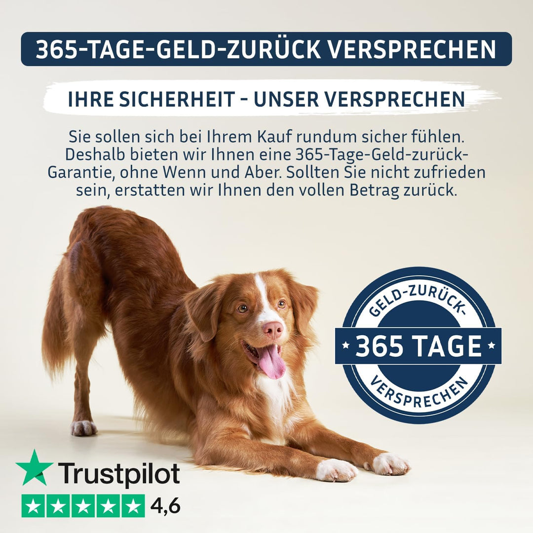 BodyFokus PetFokus Agility Complete – Für gelenkempfindliche Hunde