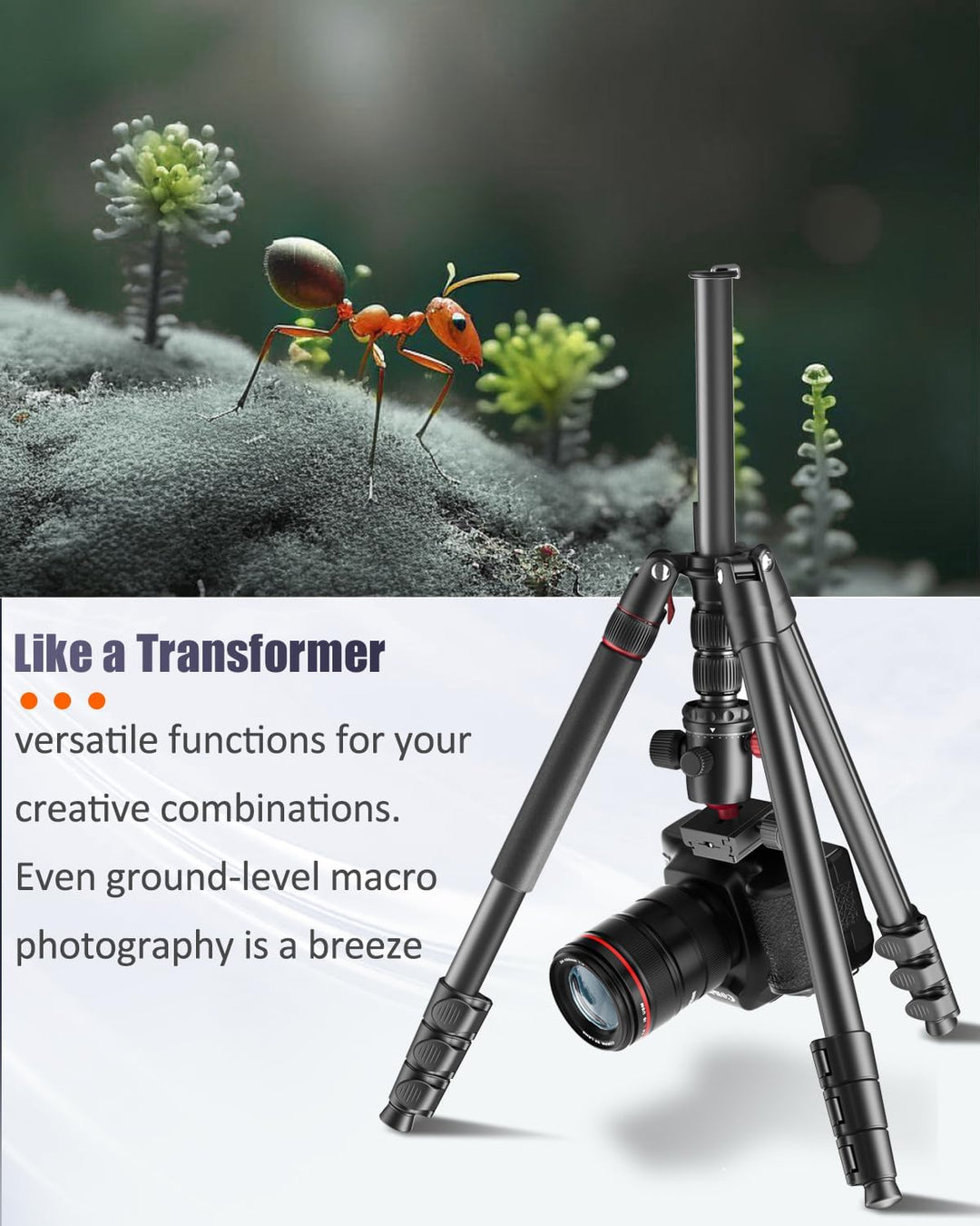 CAMBOFOTO 74'/188 cm Profi-Kamerastativ, tragbares Stativ 188 cm/Einbeinstativ 191 cm, 3/8\
