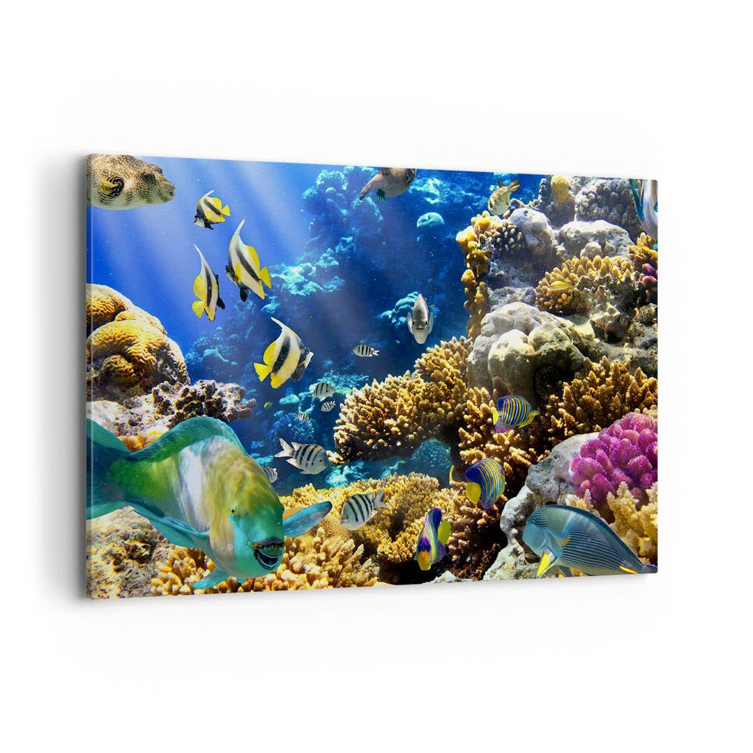 Bilder auf Leinwand 100x70cm Leinwandbild Korallenriff Ozean Krabbe Fisch Gross Wanddeko Bild Schlaf
