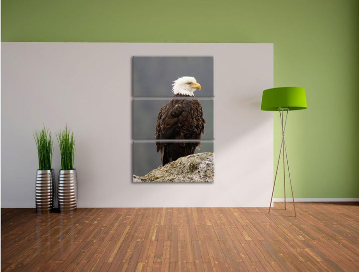 Pixxprint wachsamer Adler auf Fels als Leinwandbild/Grösse: 3 Teilig (120x80) cm/Wandbild/Kunstdruck