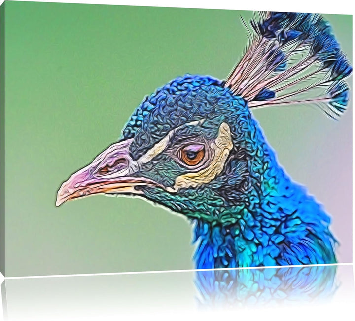 schöner farbenfroher Pfau Deluxe Format: 100x70 cm auf Leinwand, XXL riesige Bilder fertig gerahmt m