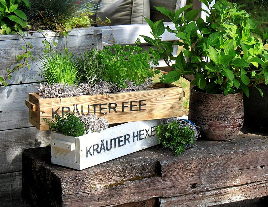 Dekorie Blumenkasten Pflanzkasten Massivholz Pflanzkiste Aufbewahrungskiste weiss oder geflammt Shab