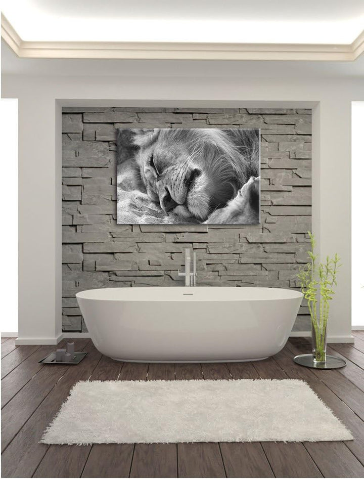 Pixxprint schlafender Löwe Kunst B&W als Leinwandbild/Grösse: 100x70 / Wandbild/Kunstdruck/fertig be