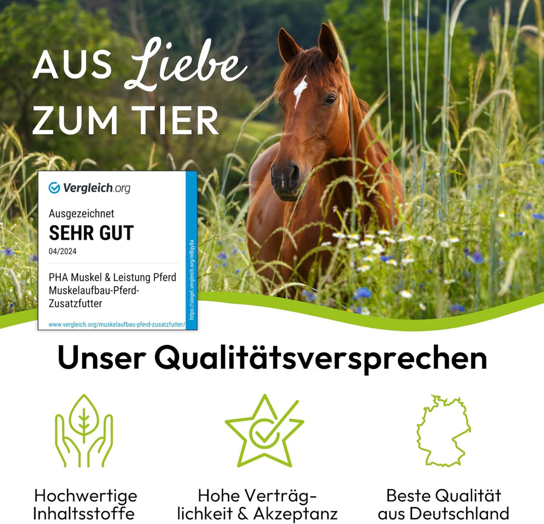 PHA Muskel &amp; Leistung Pferd, Ergänzungsfutter zur Unterstützung von Muskelaufbau und Leistungsfähigk