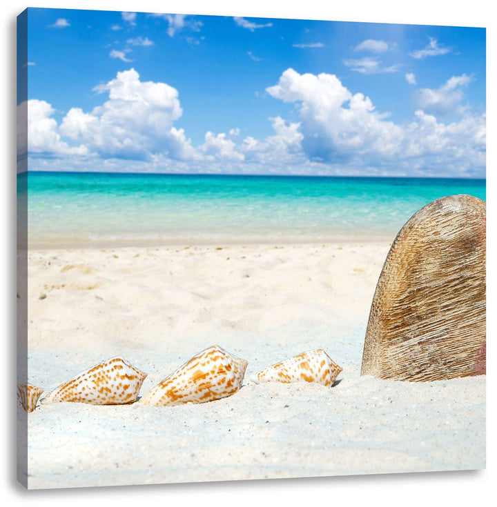 Pixxprint Sandstrand mit Muscheln als Leinwandbild/Grösse: 70x70 cm/Wandbild/Kunstdruck/fertig bespa