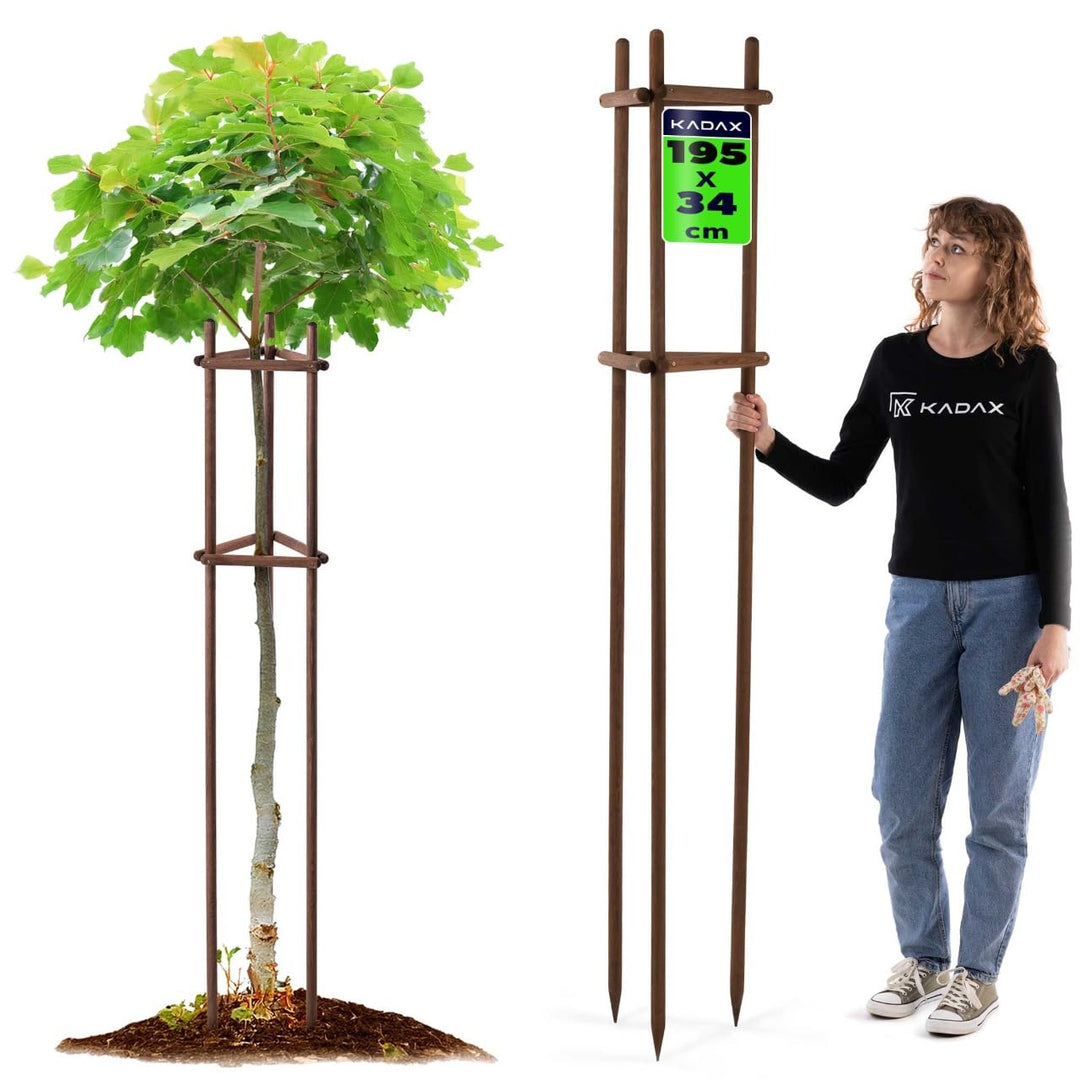 KADAX Baumstütze 195 cm aus robustem Holz, Baumpfahl zur sicheren Fixierung junger Bäume & Sträucher