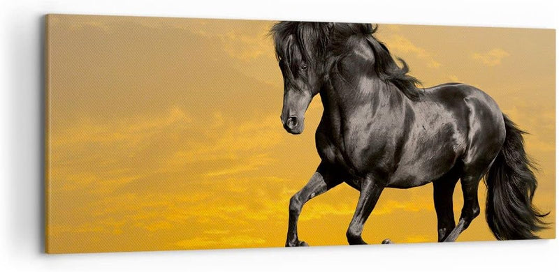 Wandbilder Dekoration Wohnzimmer Tiere Pferd Laufen Wiese Panorama Bilder auf Leinwand 120x50cm Lein