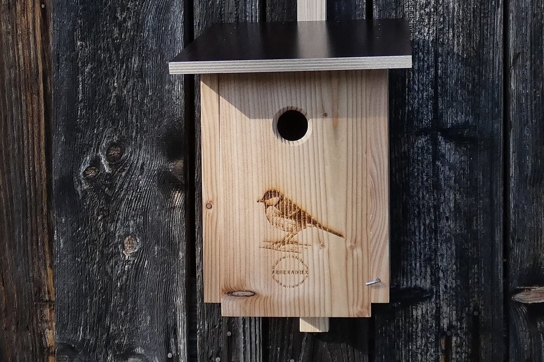 Premium Natur Lärchenholz Nistkasten unbehandelt nach Nabu, massives Vogelhaus Nisthilfe wetterfest
