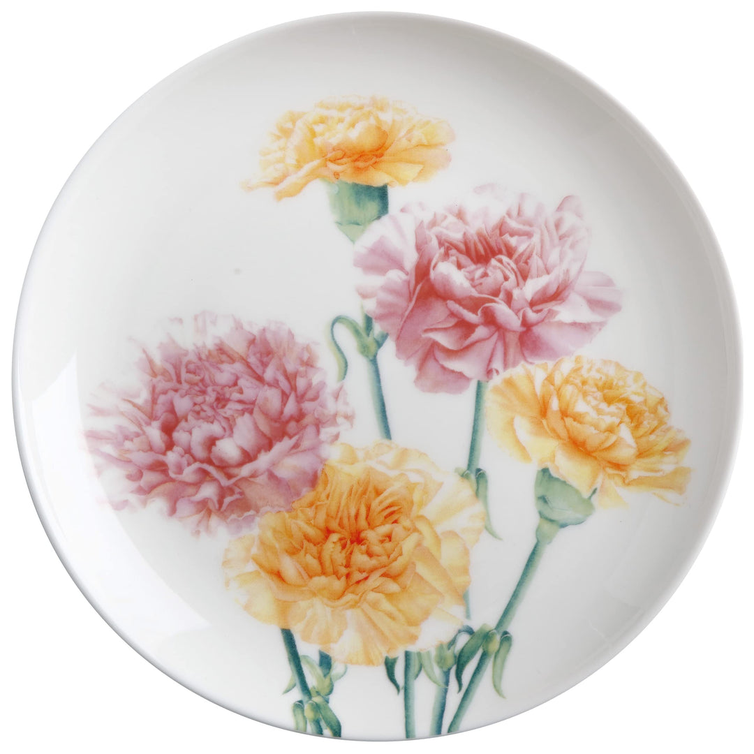 Maxwell & Williams JY0046 Teller rund Ø 20 cm – Serie Floriade – Bone China Porzellan Weiss glatt –