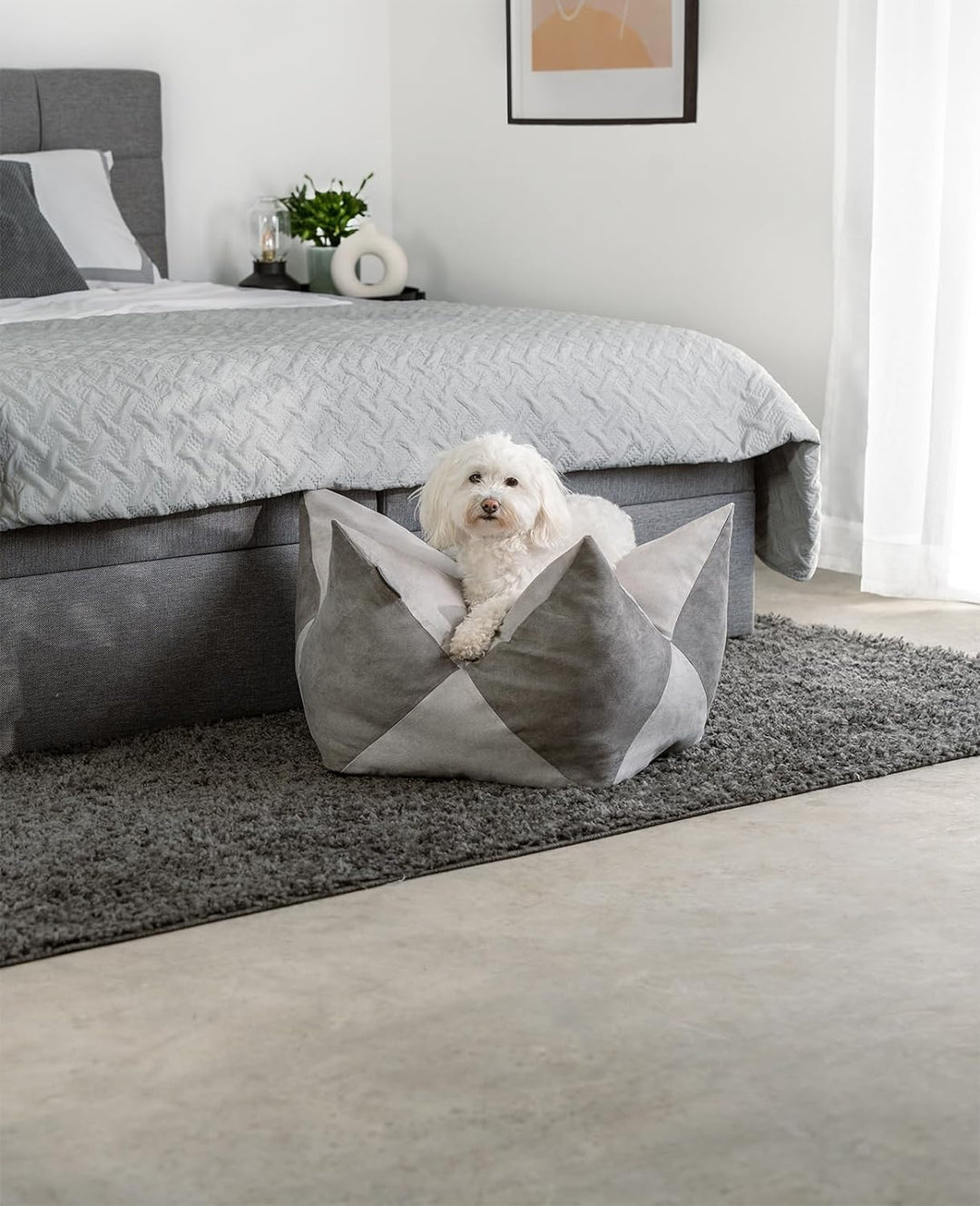 lionto Kronenkissen Sternenkissen Hundebett Katzenbett Haustierkissen, 70x38 cm grau/hellgrau Grau/H