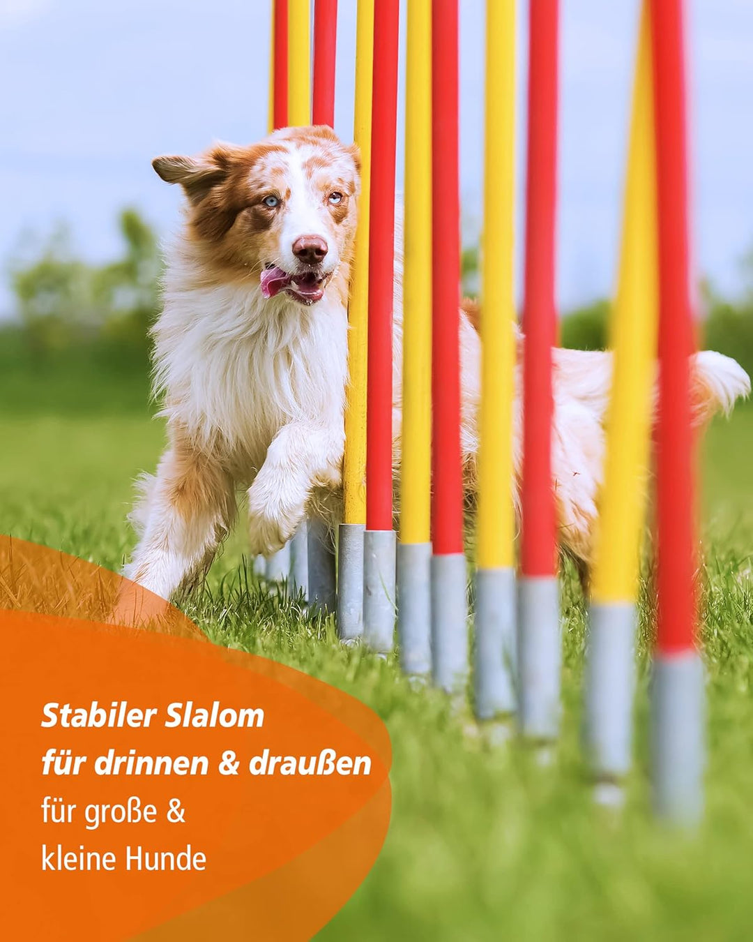 Agility-Slalom – Slalom für Turnier & Agility-Training – mit 12 Stangen & und Basis aus Metall – sta