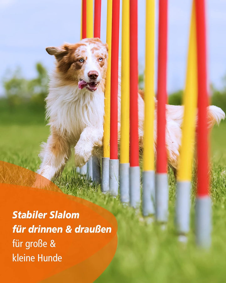 Agility-Slalom – Slalom für Turnier & Agility-Training – mit 12 Stangen & und Basis aus Metall – sta
