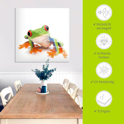 ARTland Glasbilder Wandbild Glas Bild einteilig 60x45 cm Querformat Natur Tiere Amphibien Frosch Lau