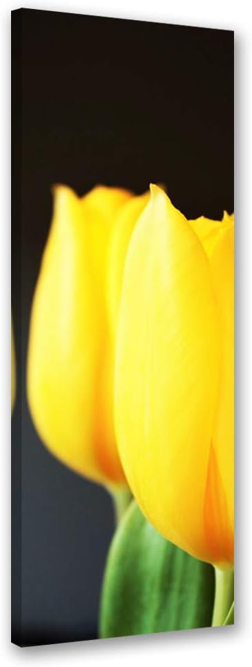 Feeby Bild auf Leinwand Tulpen Kunstdruck modern Blumen Gelb 30x90 cm Leinwandbild 30x90 cm Gelb_a,