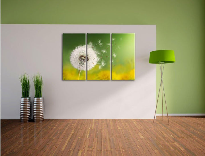 Pixxprint Löwenzahn Samen als Leinwandbild/Grösse: 3 Teilig (120x80) / Wandbild/Kunstdruck/fertig be