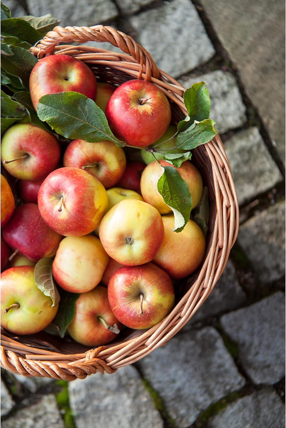 Dehner Weidenkorb, Höhe 35 cm, Ø 50 cm, Weidengeflecht