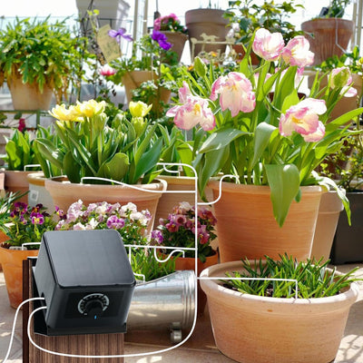 Briidea Solar Bewässerungssystem, Garten Bewässerungssystem, Solarenergie, Mit 30 Fuss (9,14 Meter)