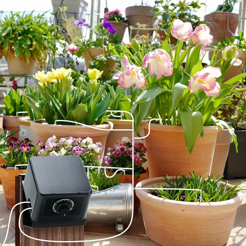 Briidea Solar Bewässerungssystem, Garten Bewässerungssystem, Solarenergie, Mit 30 Fuss (9,14 Meter)