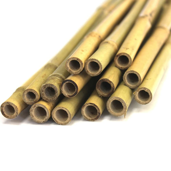 Bambus-Stäbe 1,5m, Ø 11-15mm (50), 50