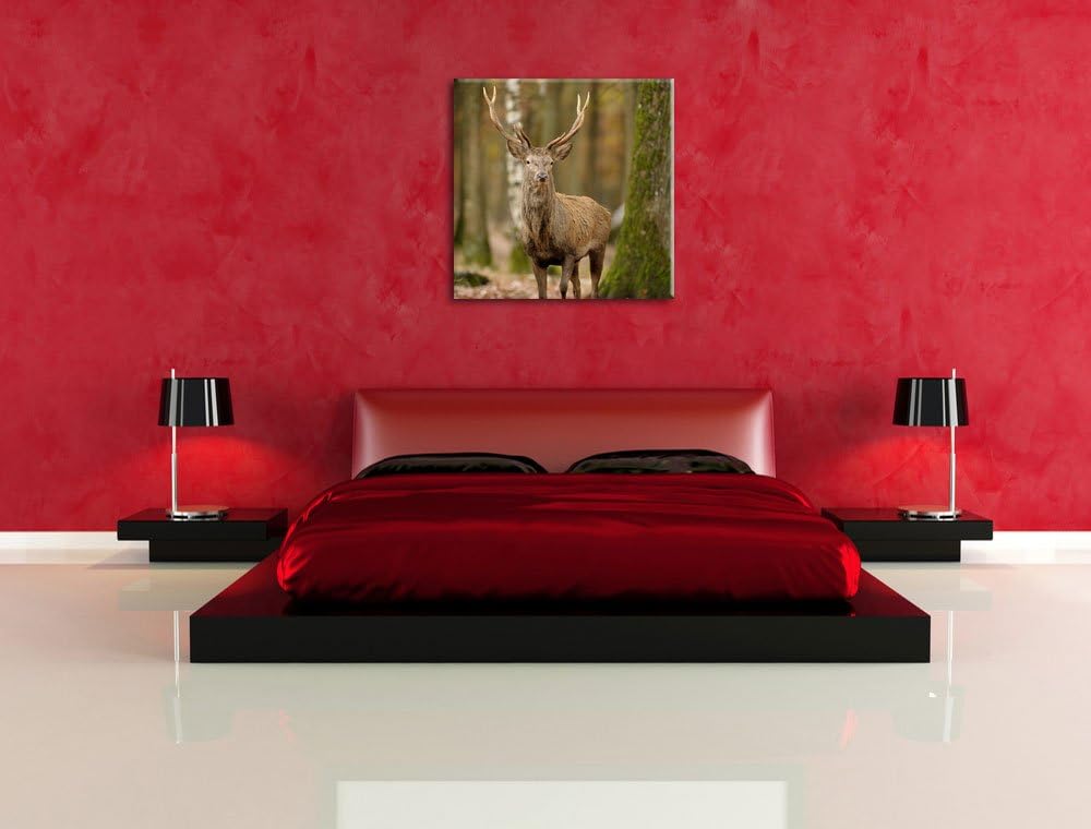 Schöner Hirsch im Wald, Format: 70x70 auf Leinwand, XXL riesige Bilder fertig gerahmt mit Keilrahmen
