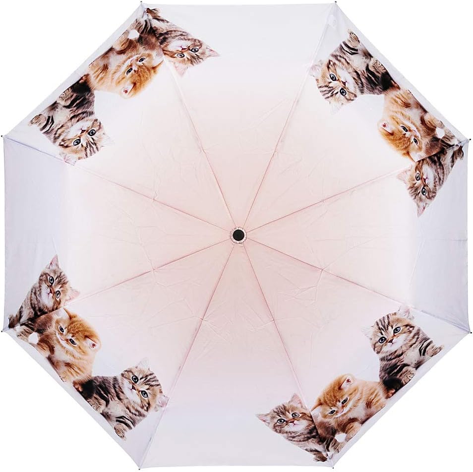 VON LILIENFELD Regenschirm Taschenschirm Katzen Trio Windfest Auf-Zu-Automatik Kätzchen Kinderschirm