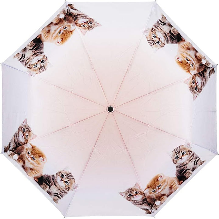 VON LILIENFELD Regenschirm Taschenschirm Katzen Trio Windfest Auf-Zu-Automatik Kätzchen Kinderschirm