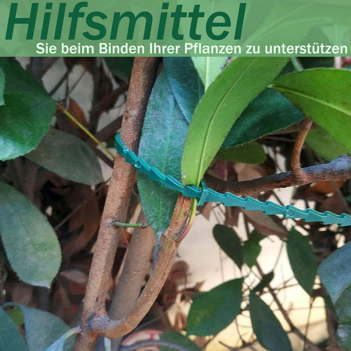 4Stück staudenhalter rund, 40cm Hoch Ø25cm pflanzenstütze, Monstera rankhilfe zimmerpflanzen Für Gro