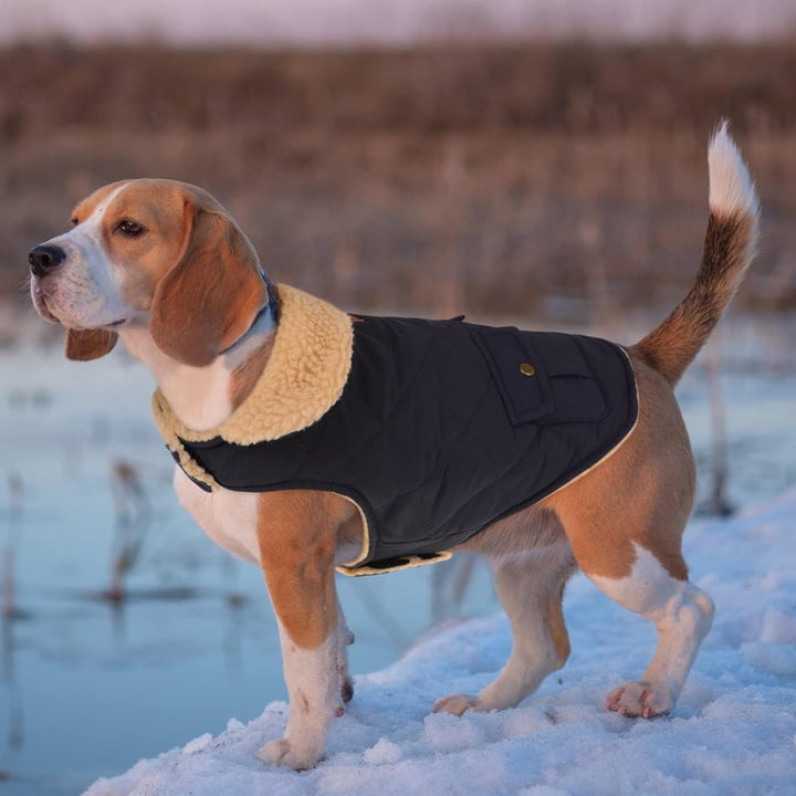 CITÉTOILE Wintermantel Hundemantel, Warme Winterjacken mit Fleece für Hunde,Hundejacke Hundekleidung