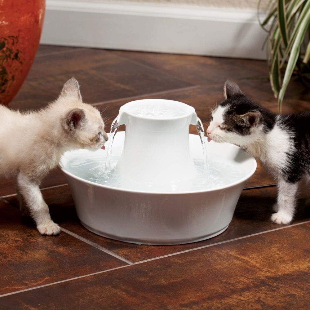 PetSafe Ersatz-Aktivkohlefilter für Drinkwell-Keramik-Trinkbrunnen, Sauberes Trinkwasser für Hunde u
