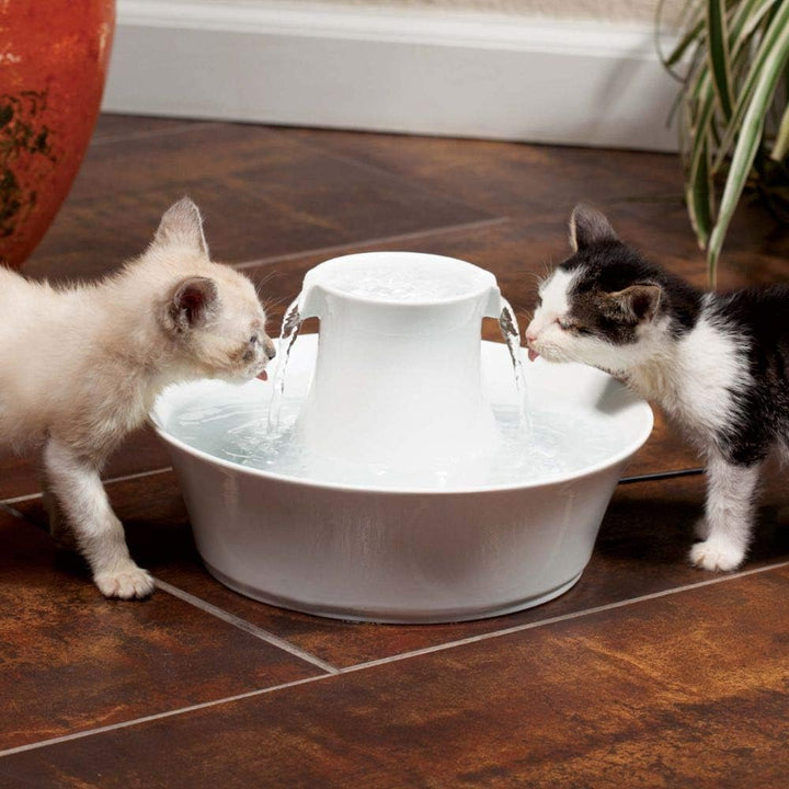 PetSafe Ersatz-Aktivkohlefilter für Drinkwell-Keramik-Trinkbrunnen, Sauberes Trinkwasser für Hunde u
