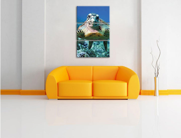 Pixxprint Schildkröte im Korallenriff als Leinwandbild/Grösse: 3 Teilig (120x80) cm/Wandbild/Kunstdr
