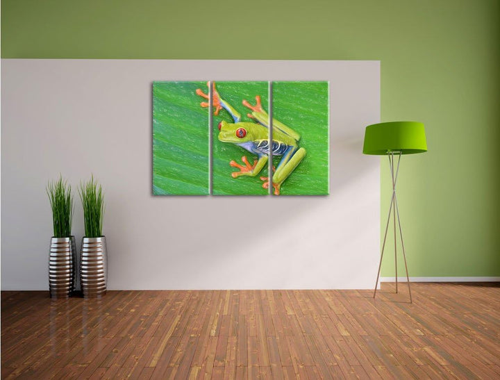 Pixxprint Kleiner Frosch auf Blatt / 3-Teilig/Gesamtmass 120cm Leinwandbild bespannt auf Holzrahmen/