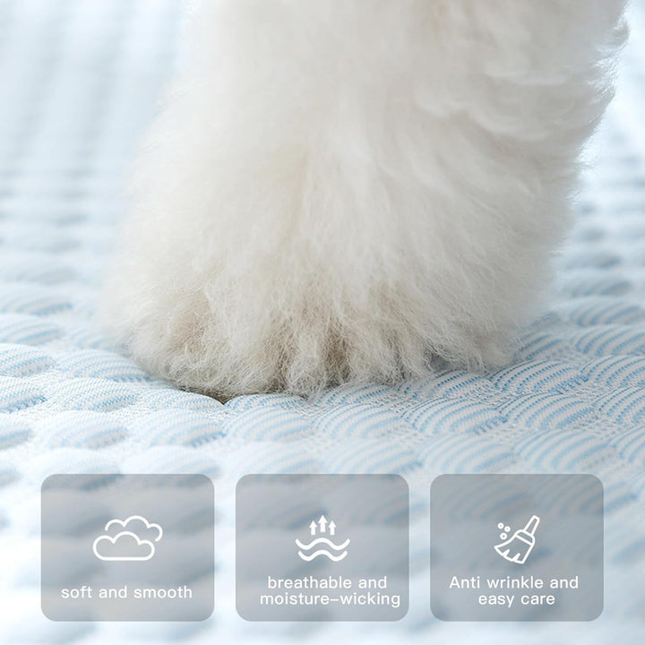 Kühlbett für Hunde & Katzen - Kühlende Haustiermatte aus Eisseide mit Waschbarem Bezug - Orthpädisch