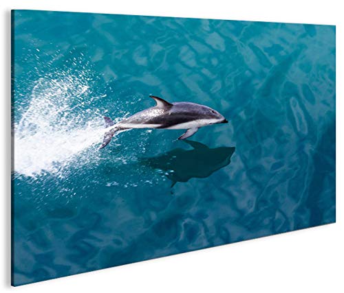 islandburner Bild Bilder auf Leinwand Delphin V2 Delfin 1p XXL Poster Leinwandbild Wandbild Dekoarti