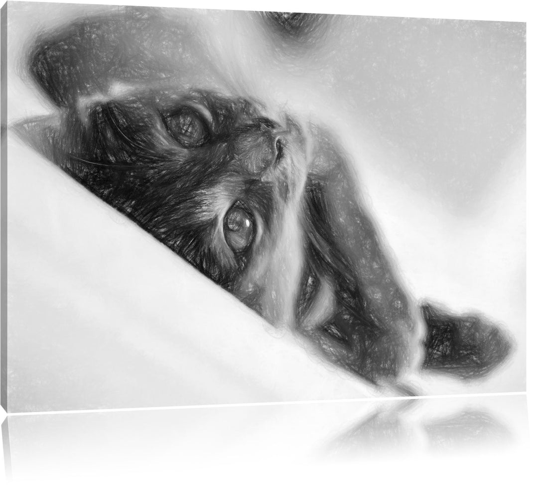 Pixxprint Niedliche Katze Liegt im Bett Bunstift Effekt, Format: 100x70 auf Leinwand, XXL riesige Bi