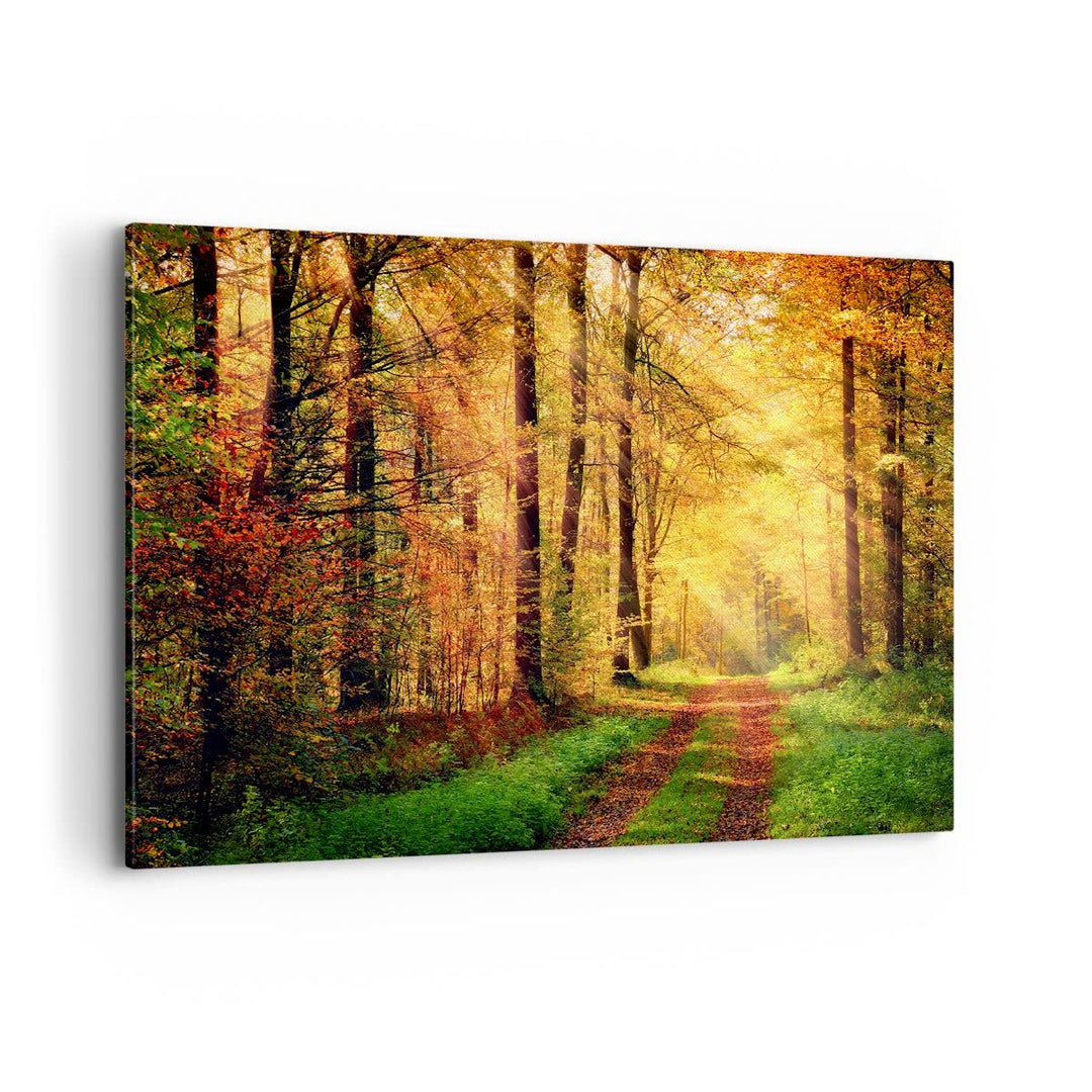 Bilder auf Leinwand 100x70cm Leinwandbild mit Rahmen Wald Baum Natur Gross Wanddeko Bild Schlafzimme