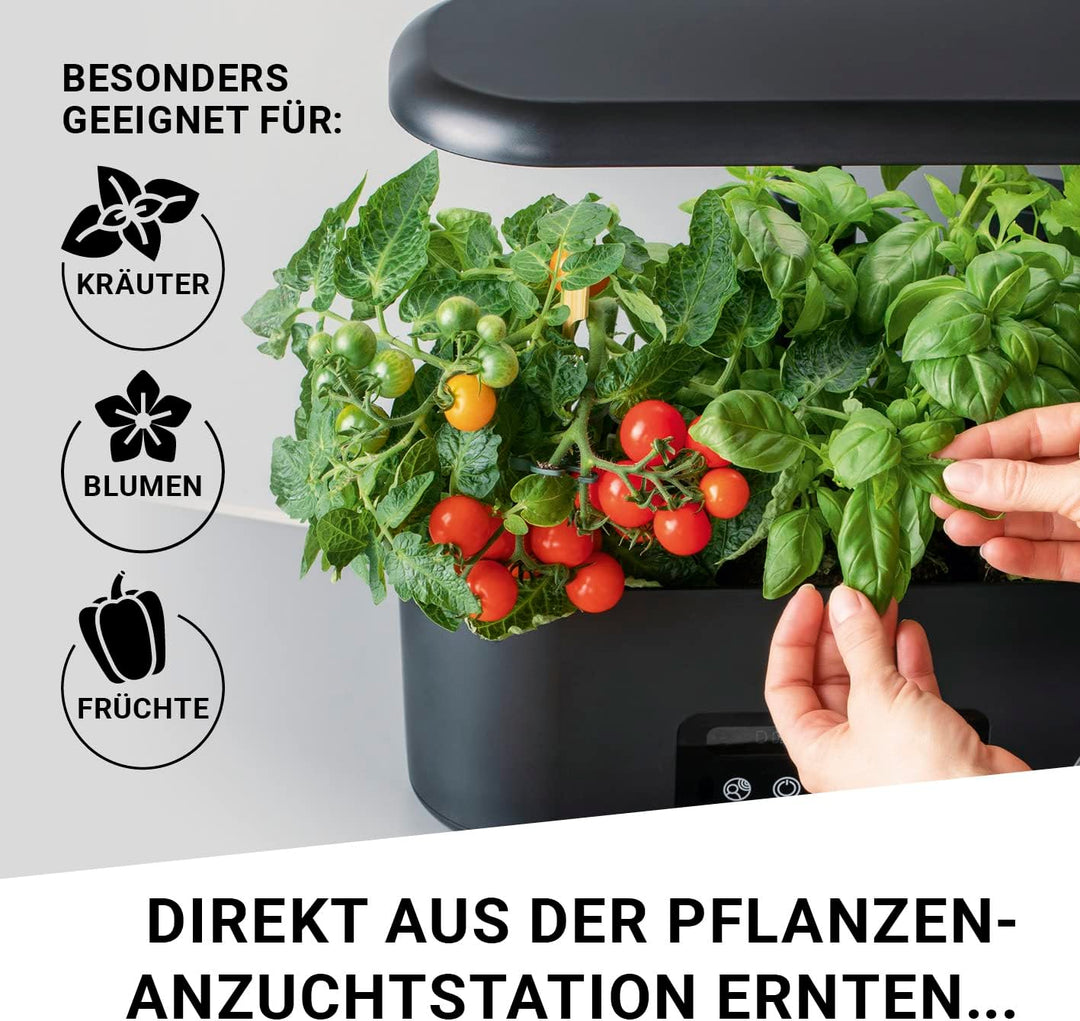 Ersatzset Anzuchtsystem | Set mit 28 Pflanzschwämmen und 28 Samentöpfen | Hydroponische Anzuchtsyste
