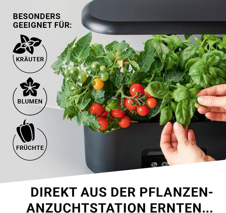 Ersatzset Anzuchtsystem | Set mit 28 Pflanzschwämmen und 28 Samentöpfen | Hydroponische Anzuchtsyste