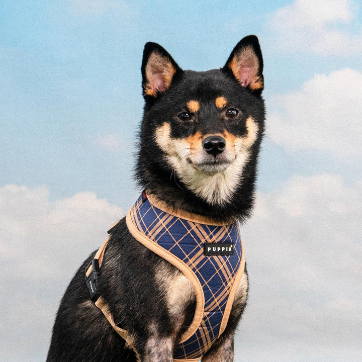 Puppia Corwin Hundegeschirr A (Over-The-Head), modisches Karomuster für Frühling und Sommer, kleine