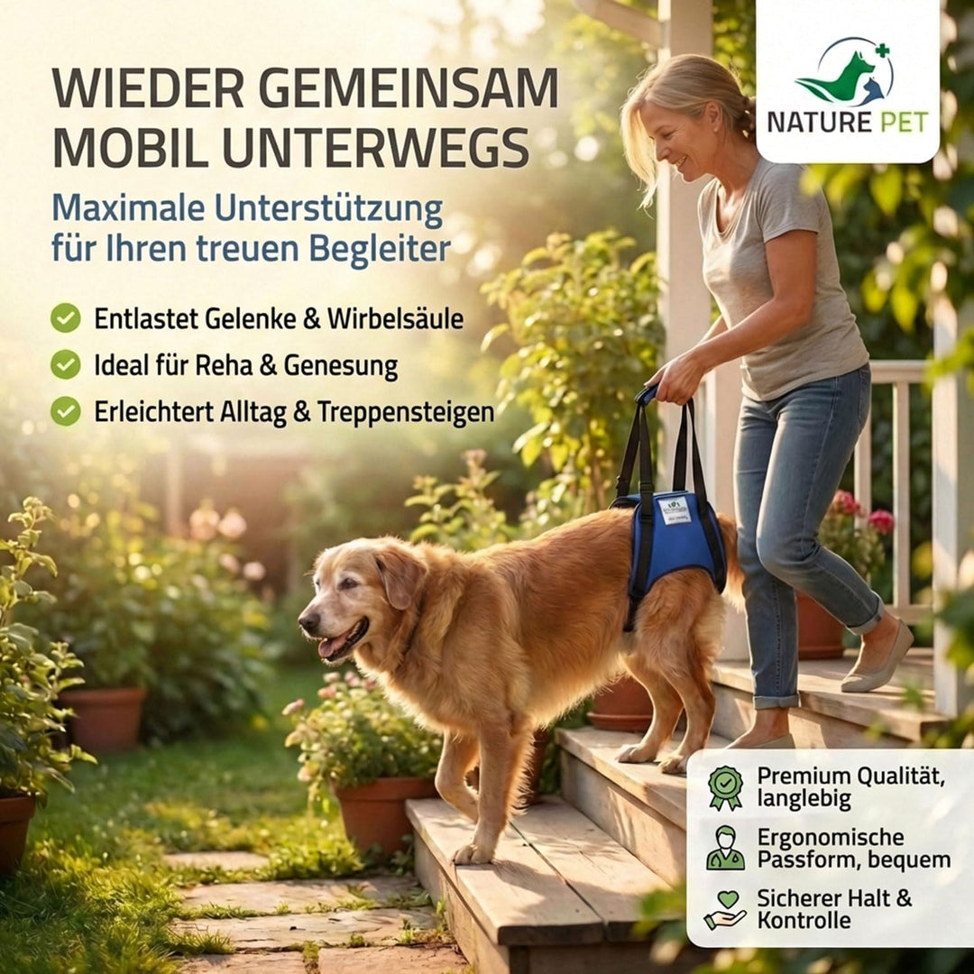 Tragehilfe Hund hinten - Ideal für ältere, kranke oder operierte Hunde - Diese Treppenhilfe für Hund
