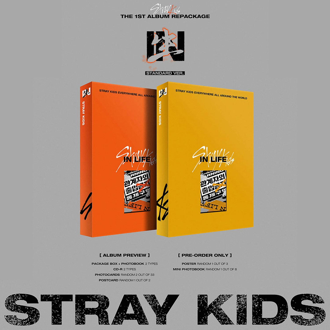 STRAY KIDS 1st Repackage Album - IN生 (IN LIFE) [ B type. ] CD + Photobook + Photocards + Postcard +