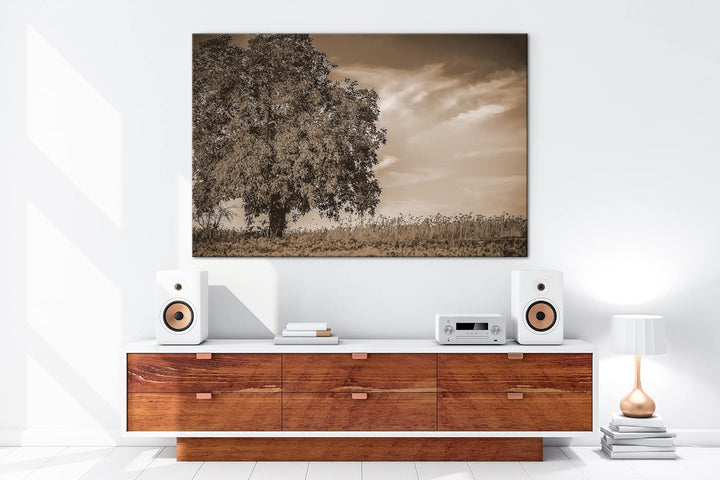 deyoli Herbstliche Landschaft Format: 80x60 als Leinwand, Effekt: Sepia, Motiv fertig gerahmt auf Ec