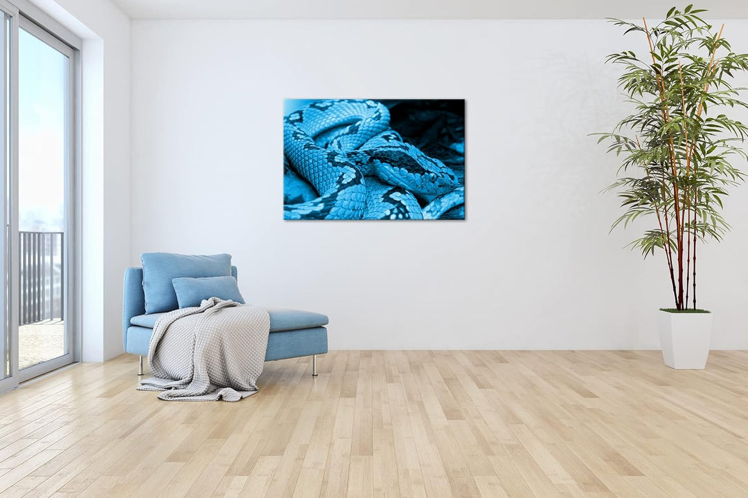 deyoli Grüne Schlange Format 80x60 Effekt: Monocrome Blau als Leinwandbild, Motiv fertig gerahmt auf