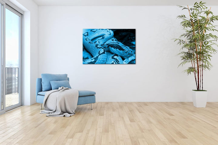 deyoli Grüne Schlange Format 80x60 Effekt: Monocrome Blau als Leinwandbild, Motiv fertig gerahmt auf